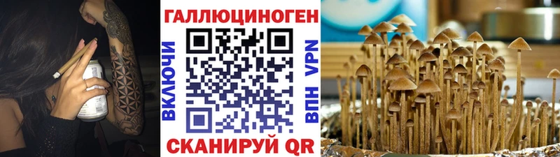 это формула  Похвистнево  Галлюциногенные грибы Magic Shrooms 